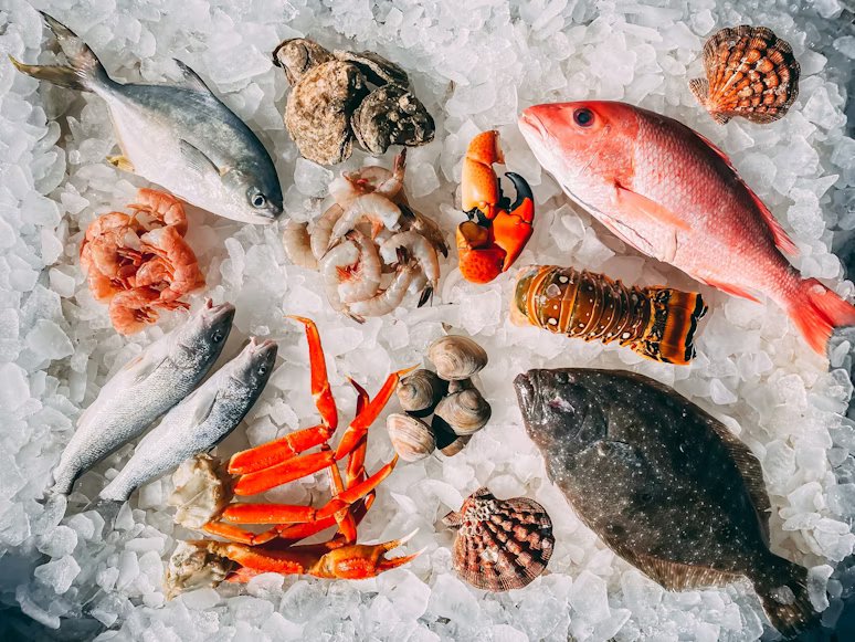 Pescado fresco
