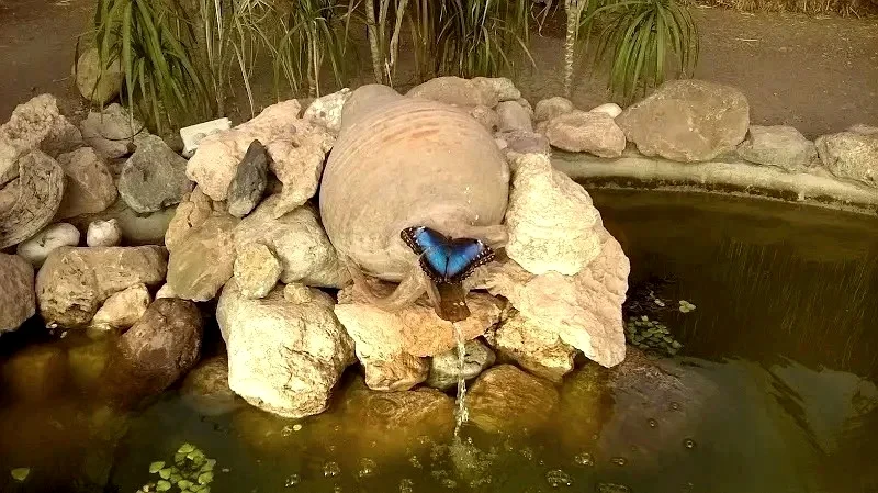 Mariposario de Níjar