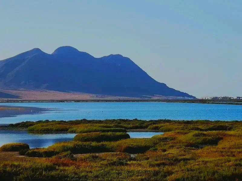 Salinas de Cabo de Gata