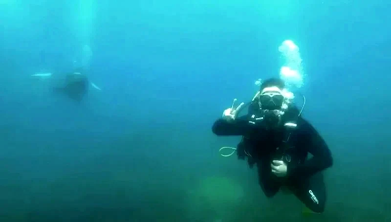 Centro de Buceo Alpha