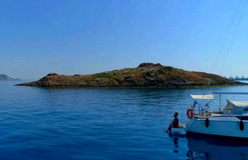 Navegata
