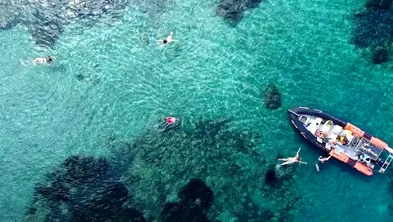 Zonaktiva Paseos en Barco