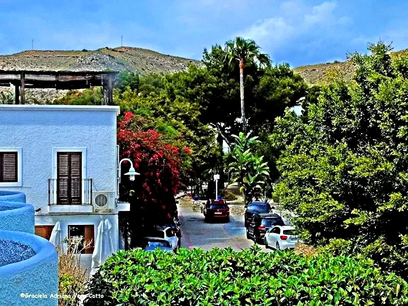 La Palmera | Habitaciones con encanto Agua Amarga