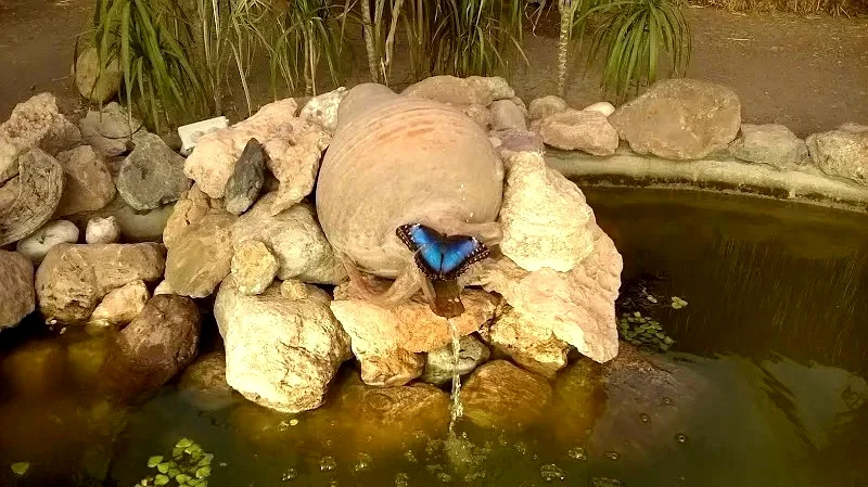 Mariposario de Níjar