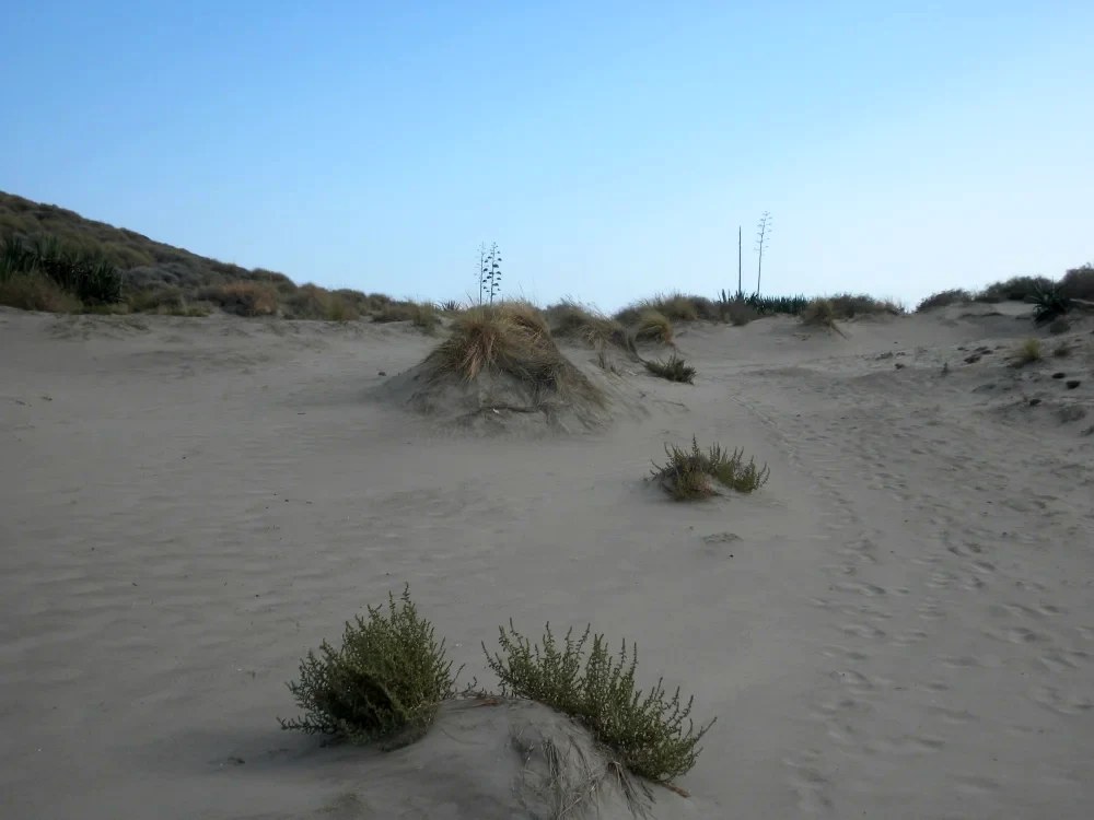 Playa del Barronal