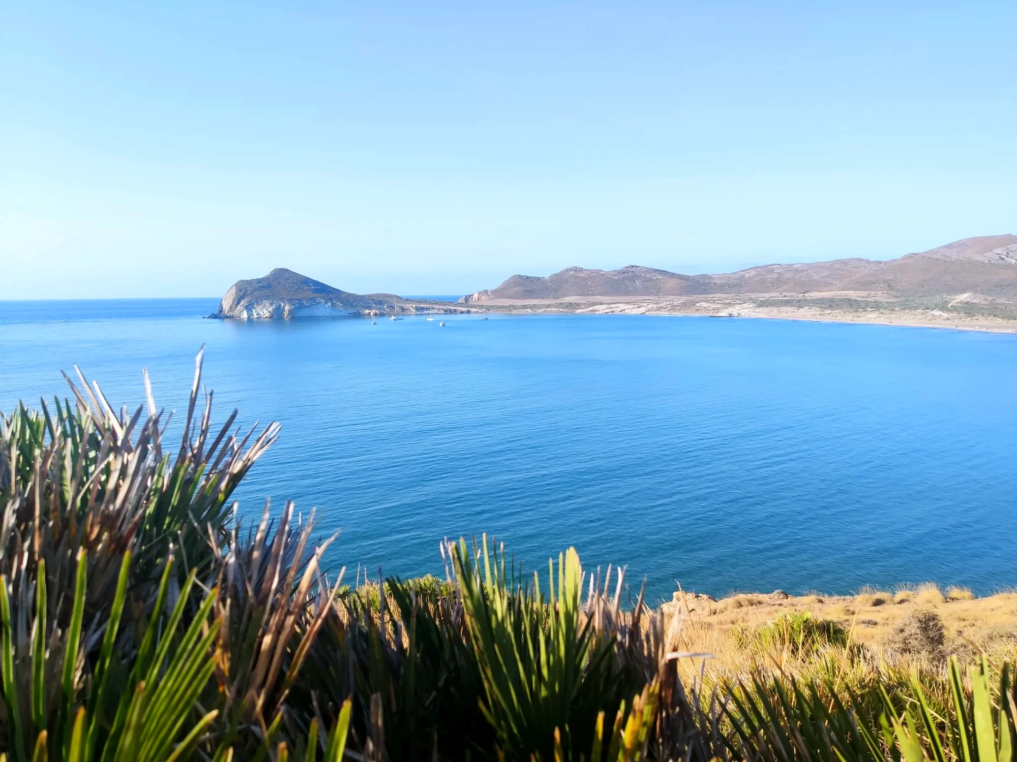 Playa de los Genoveses