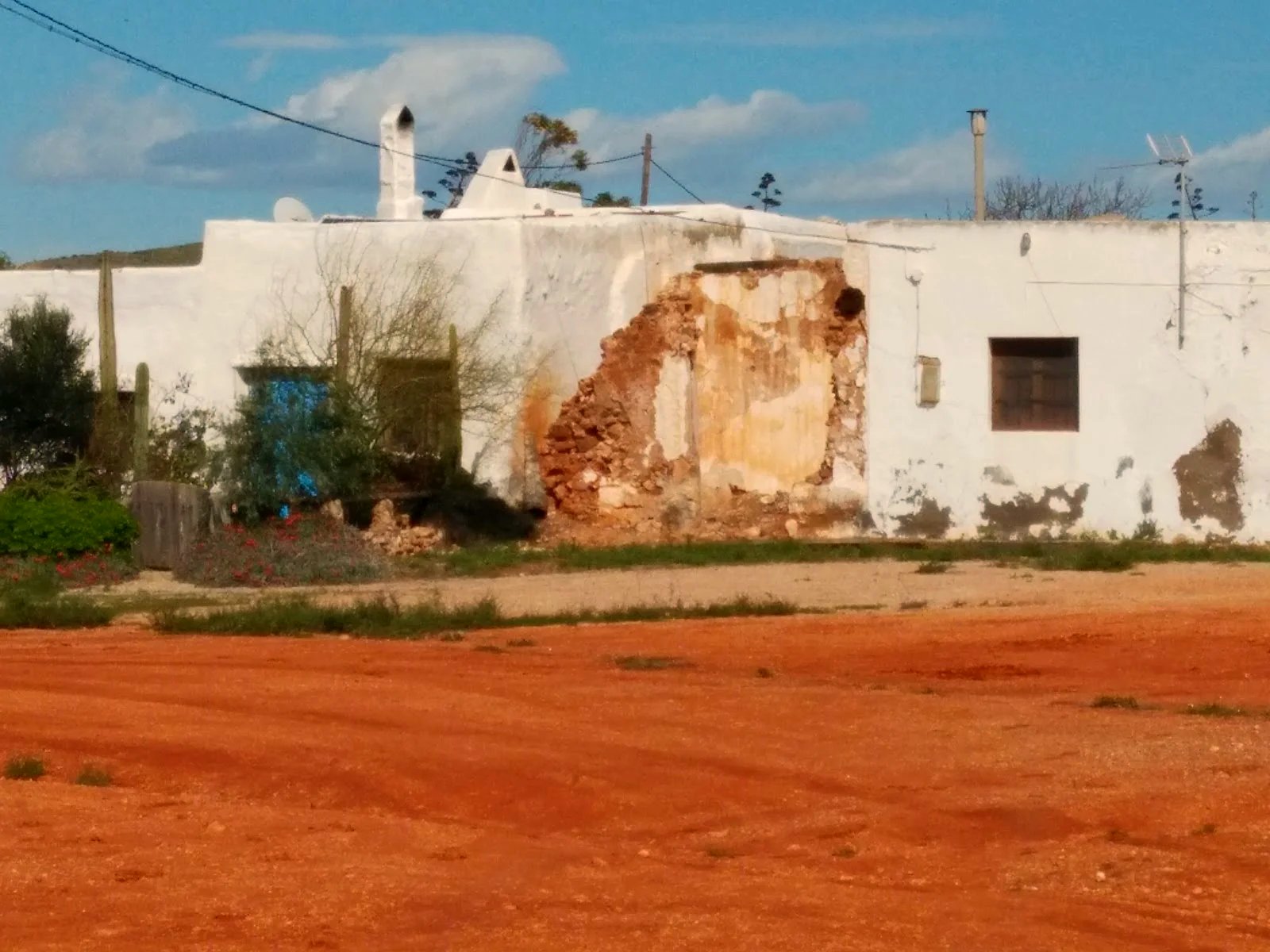 los-albaricoques foto 2